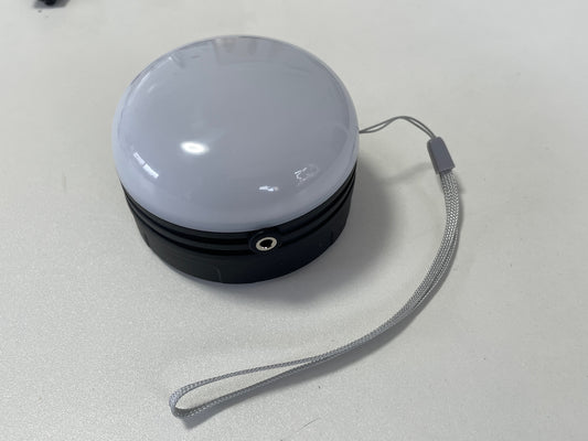 ブザーライト AYL-WT010